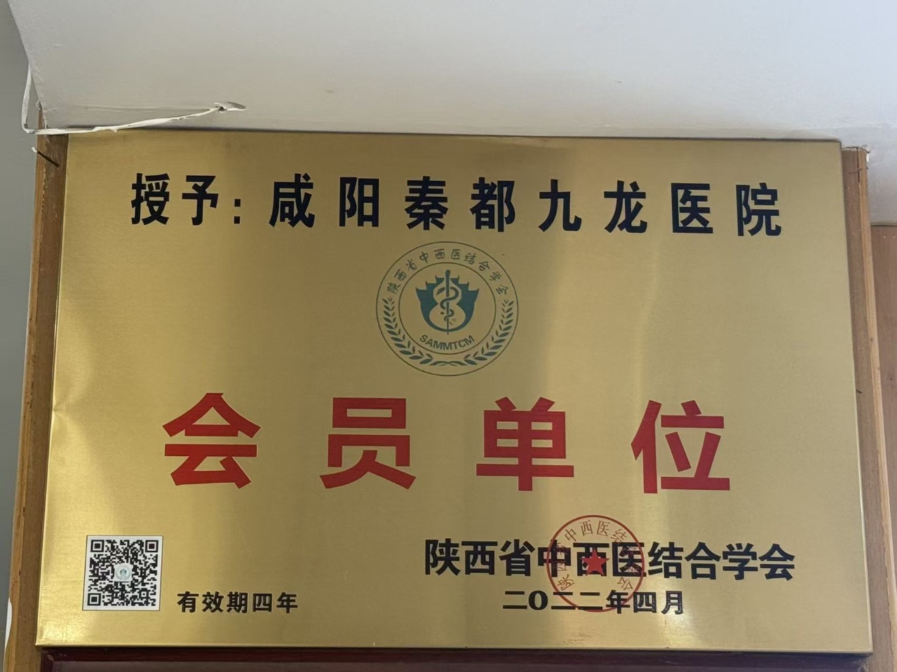 咸阳秦都九龙医院于2022年4月被陕西省中西医结合学会授予会员单位
