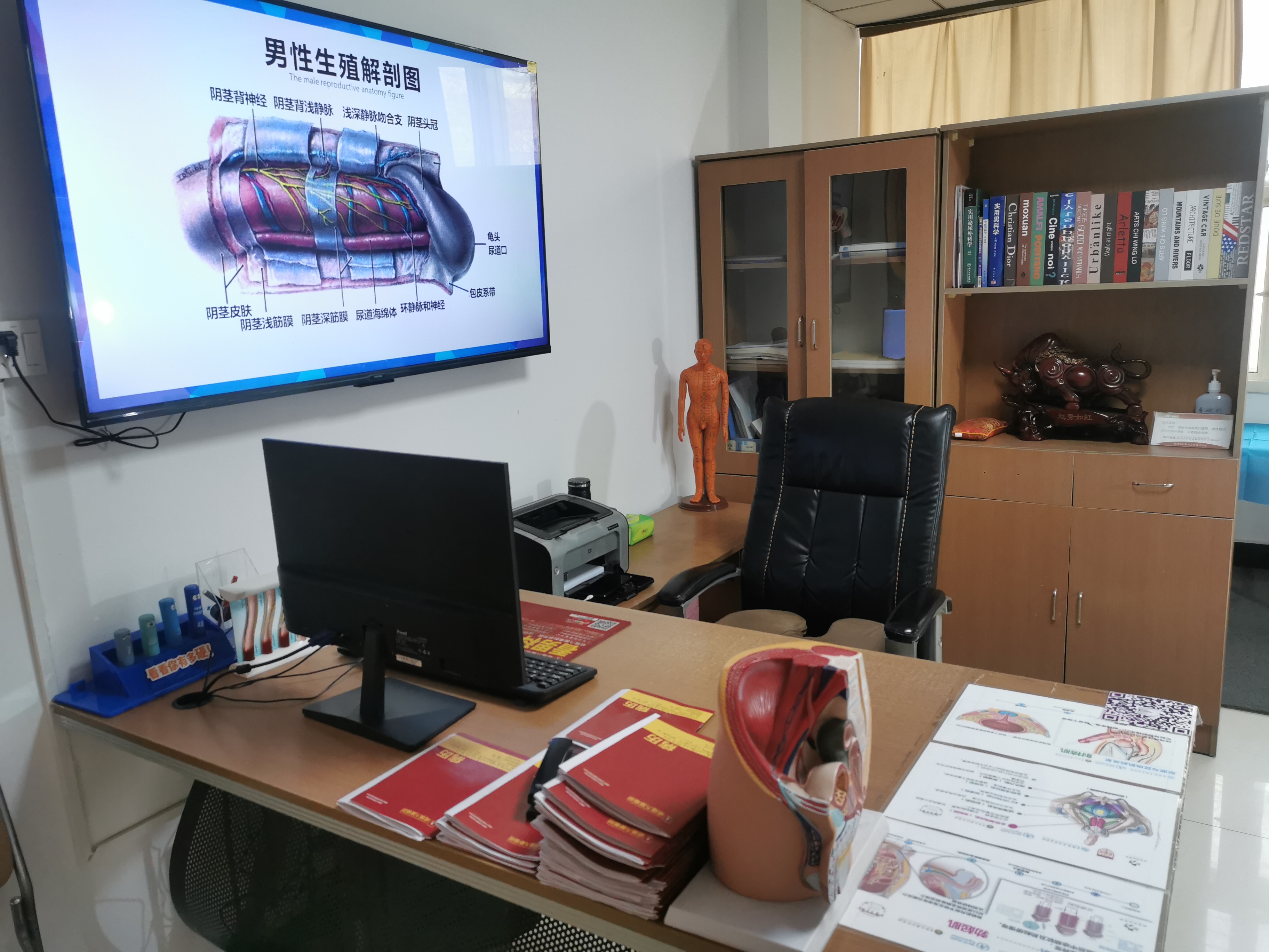 咸阳秦都九龙医院男科诊室配备生殖解剖图、人体模型等专业工具