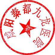 咸阳秦都九龙医院的医院印章图案